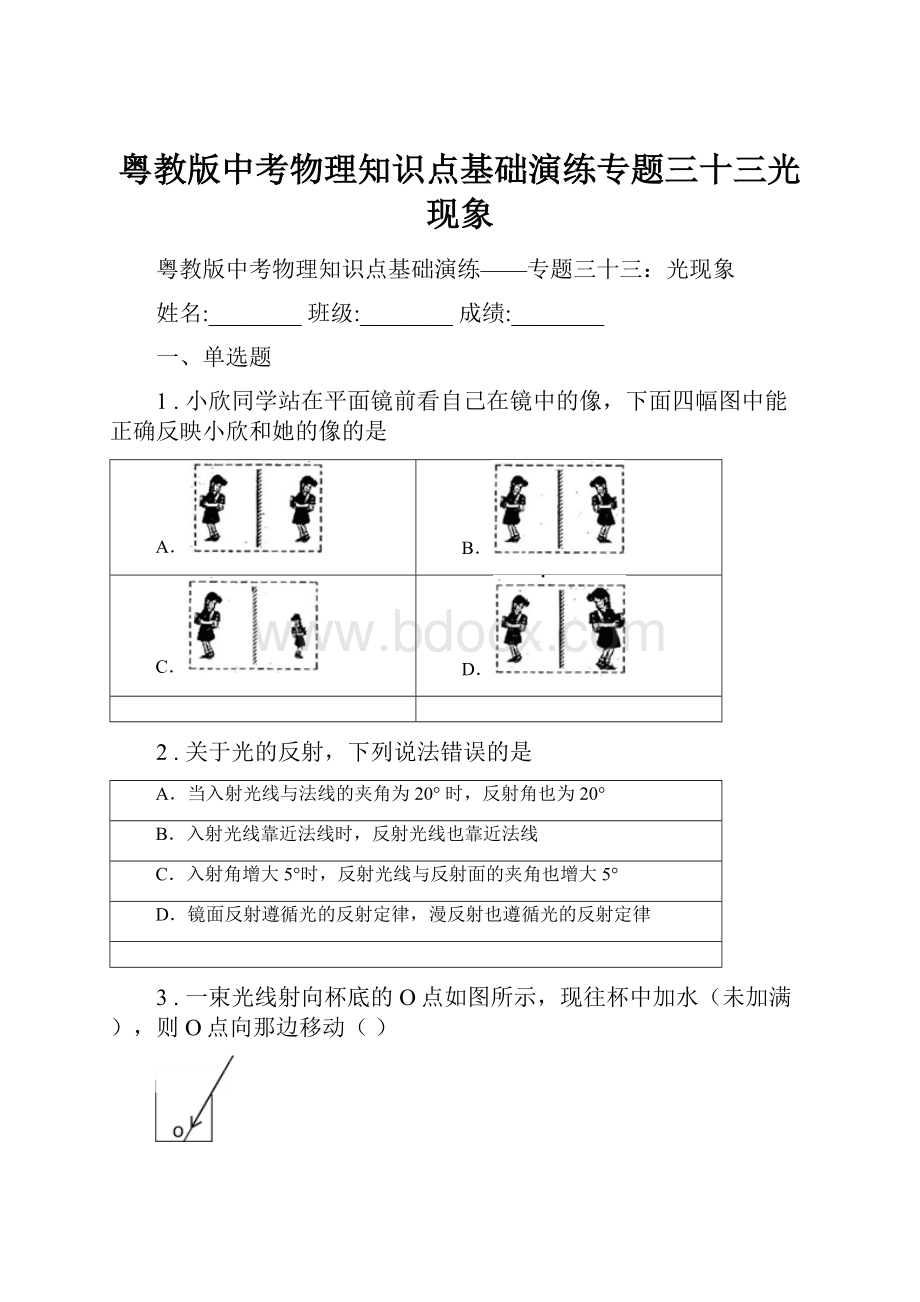 粤教版中考物理知识点基础演练专题三十三光现象.docx_第1页