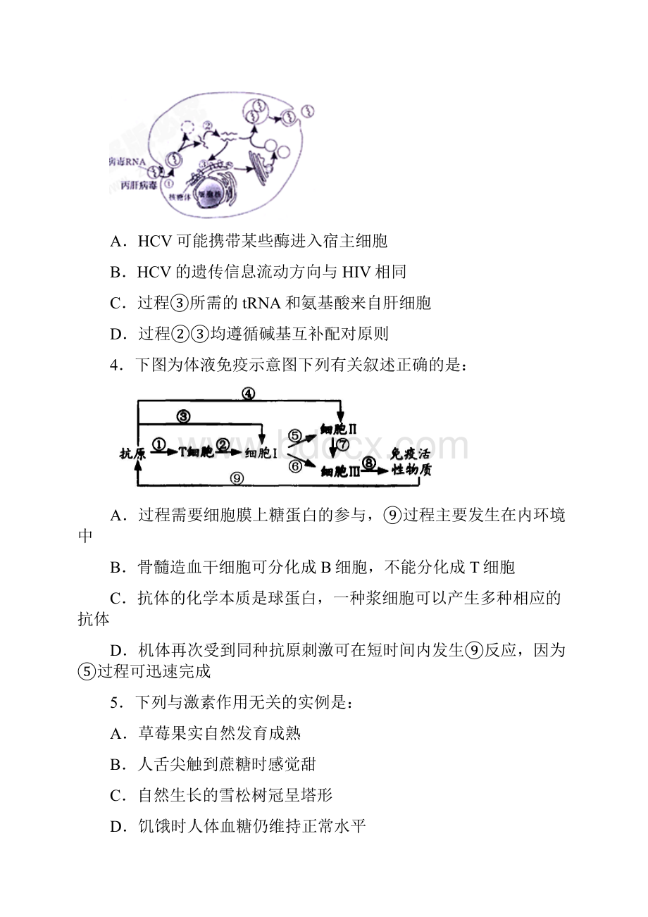 高二生物寒假作业三.docx_第2页