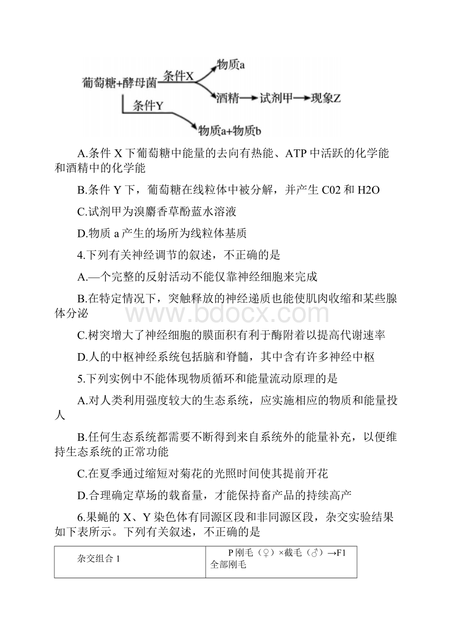 东北师大附中届高三五模理综生物试题含答案.docx_第2页