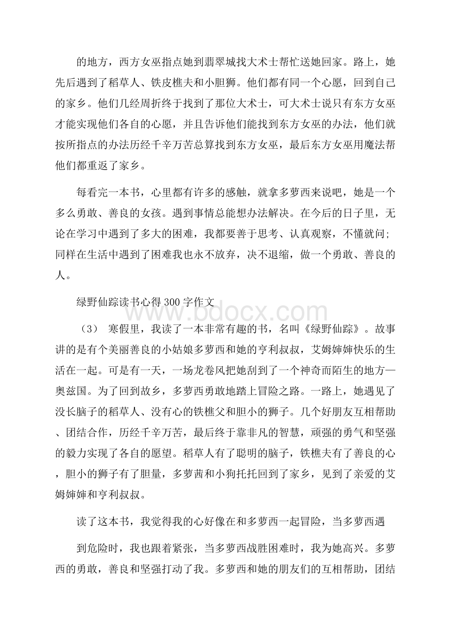 绿野仙踪读书心得300字作文6篇.docx_第2页