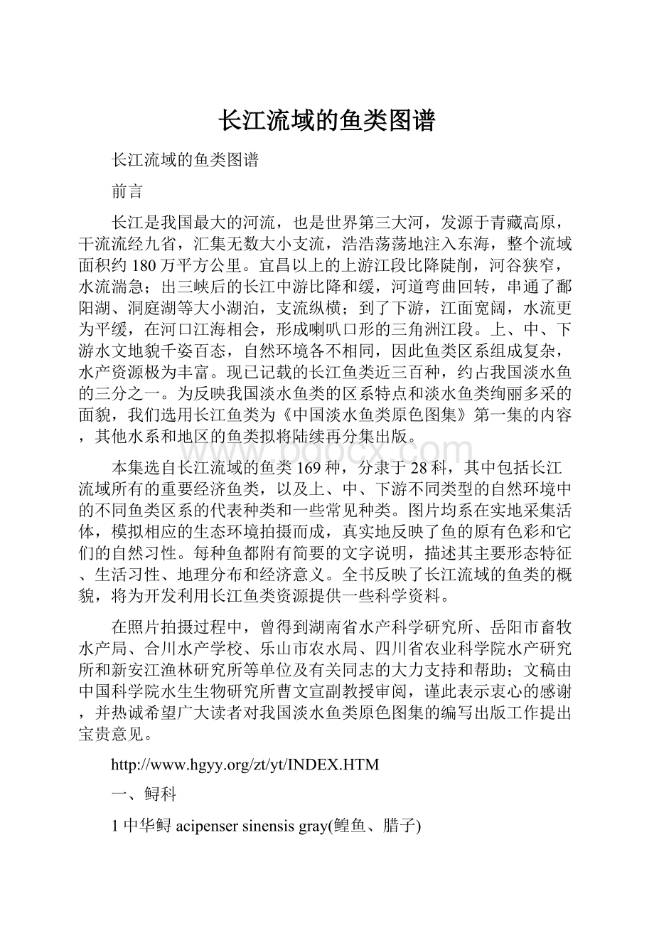 长江流域的鱼类图谱.docx_第1页