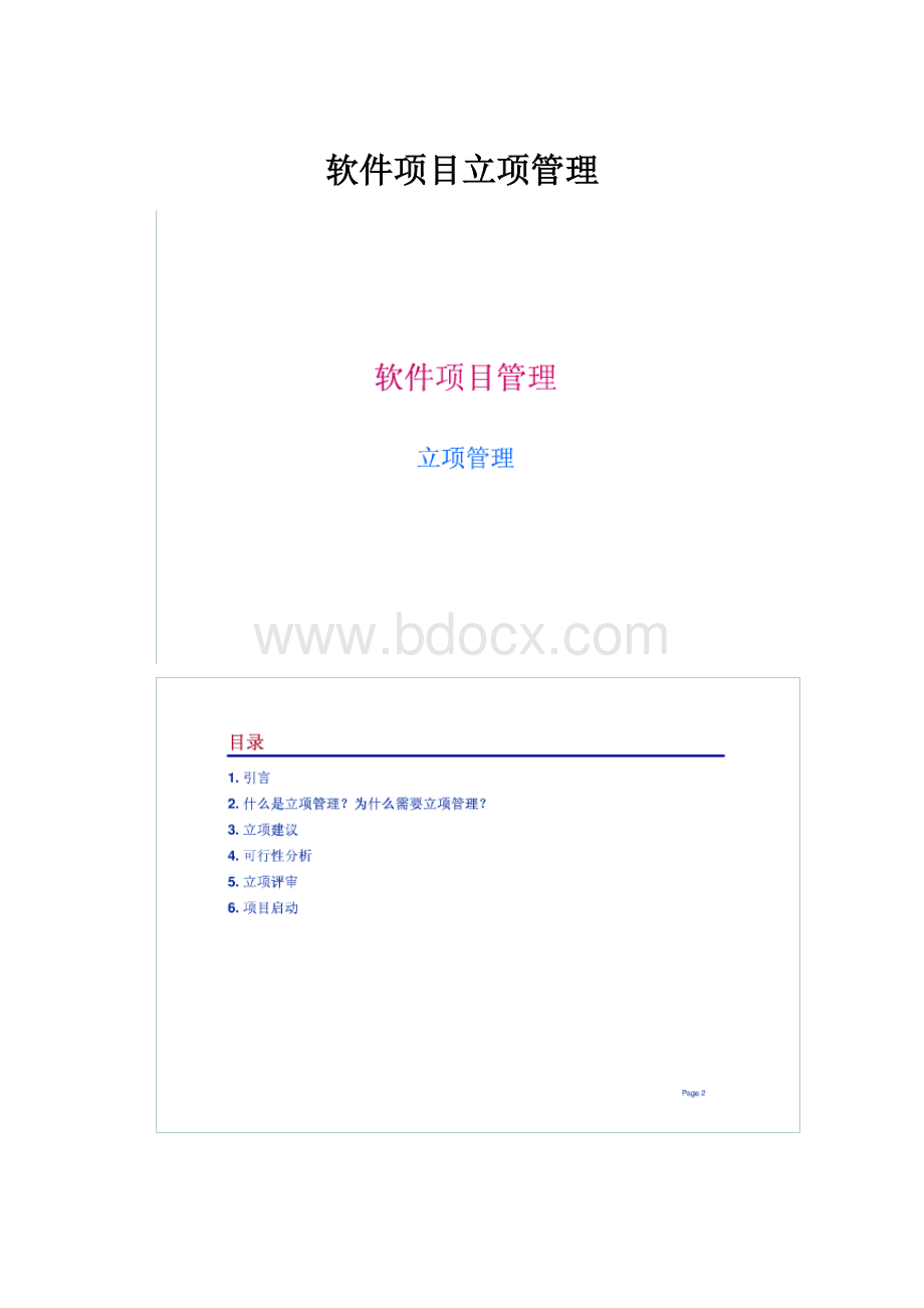 软件项目立项管理.docx