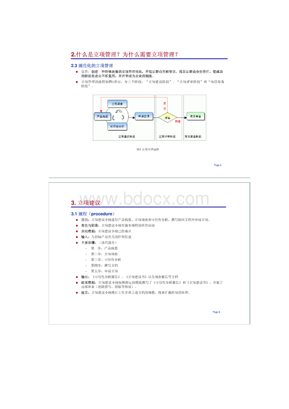 软件项目立项管理.docx_第3页