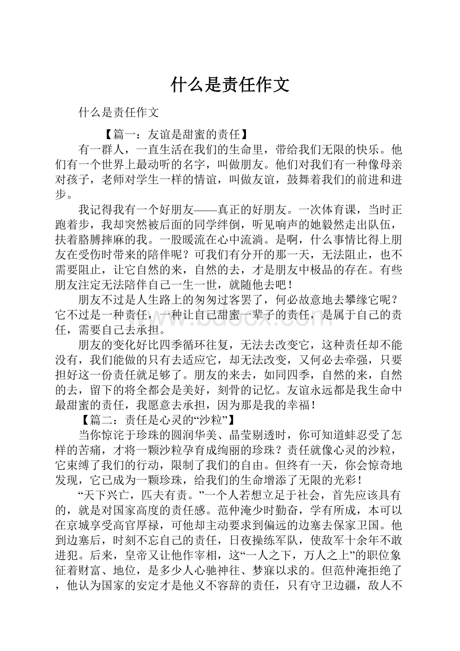 什么是责任作文.docx_第1页