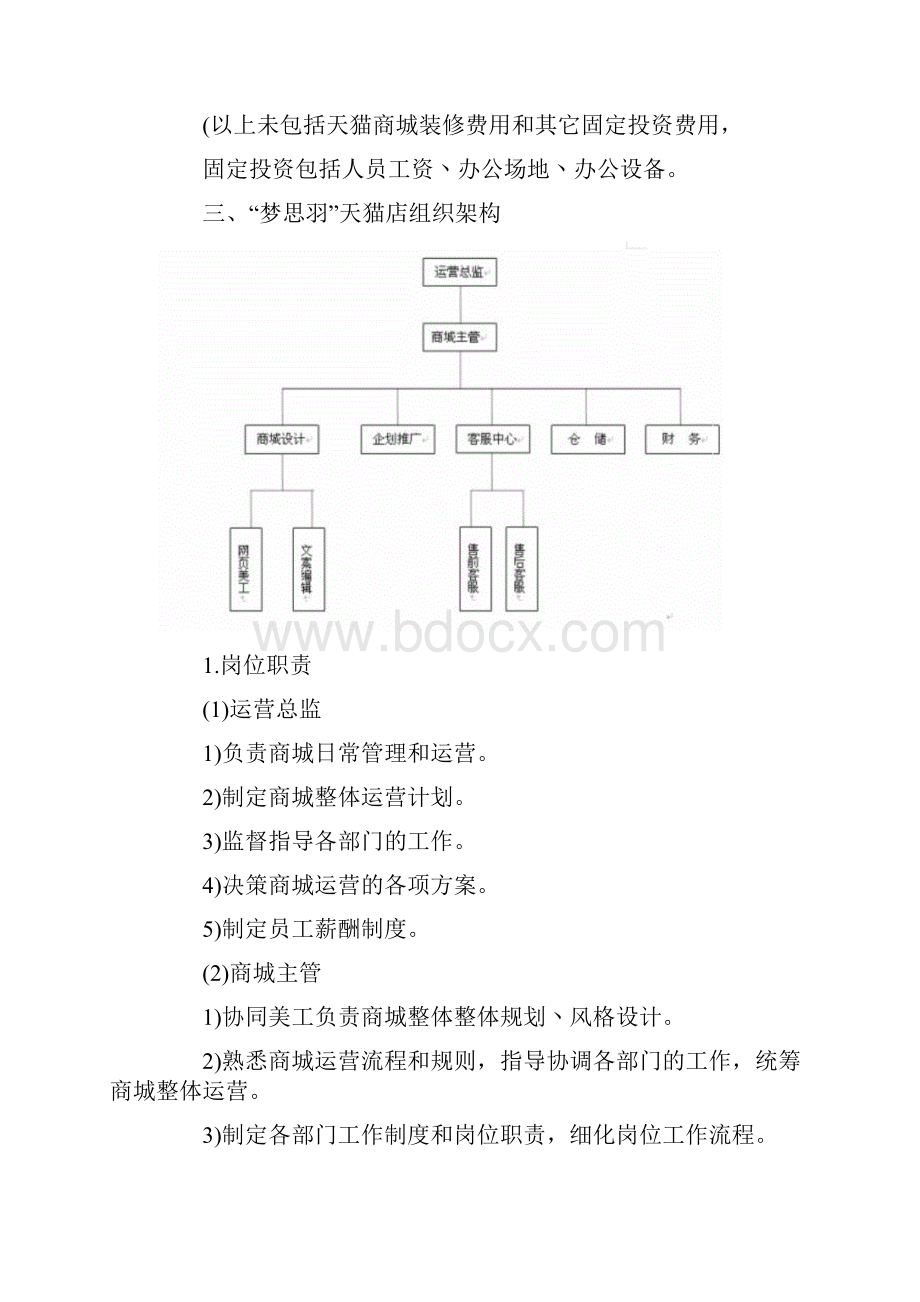 史上最全天猫店运营计划书.docx_第2页