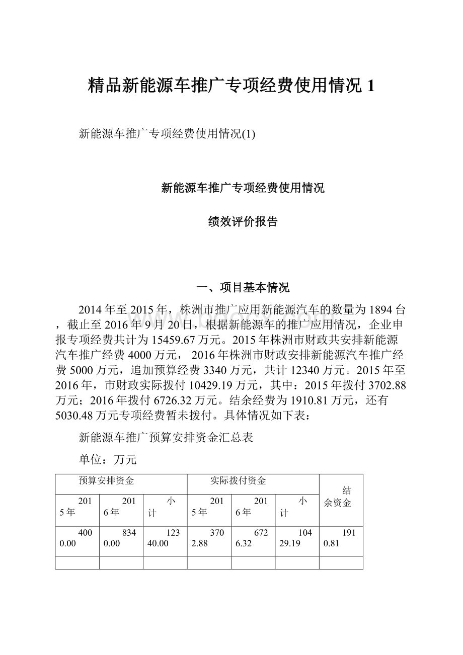 精品新能源车推广专项经费使用情况1.docx_第1页