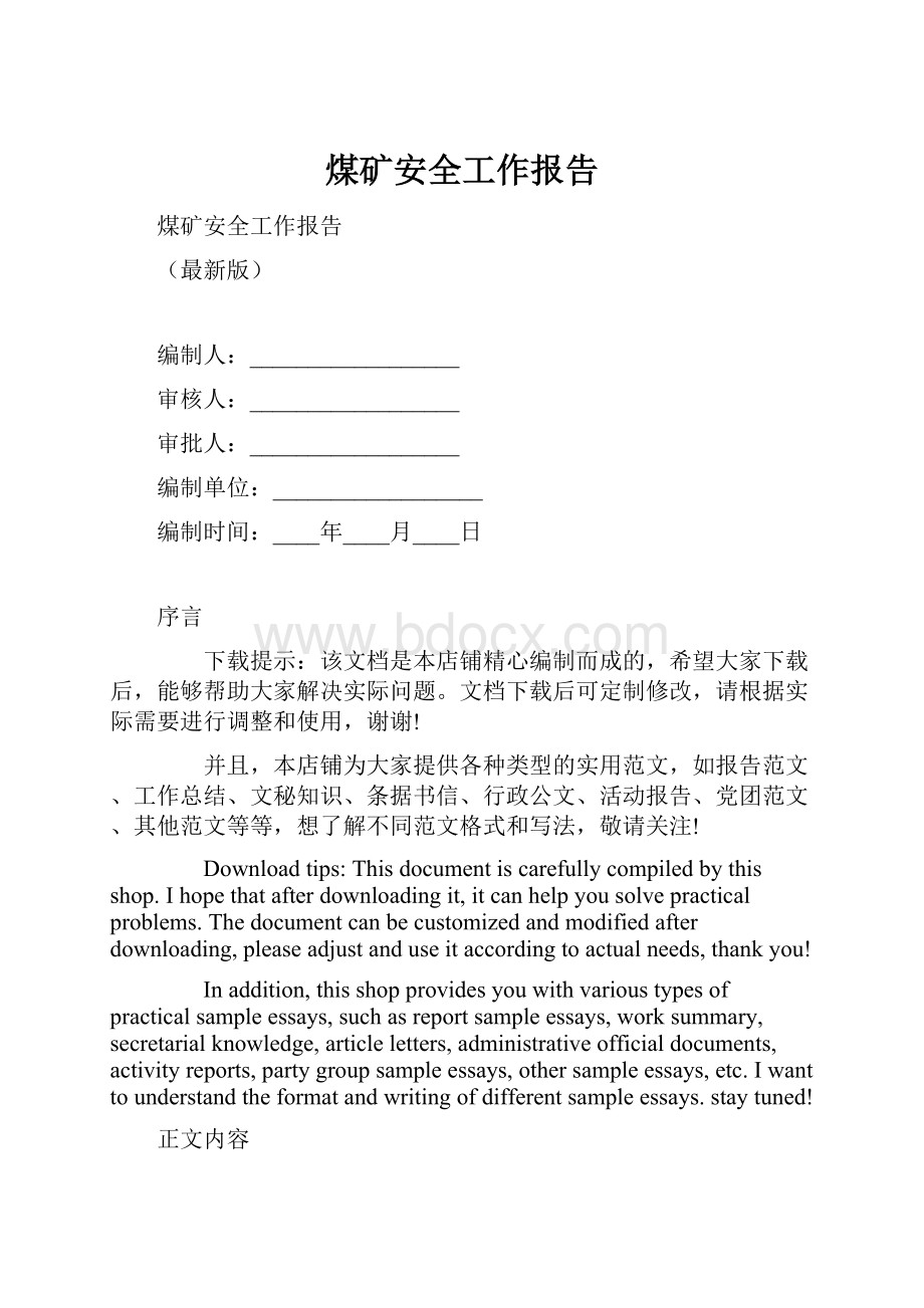 煤矿安全工作报告.docx