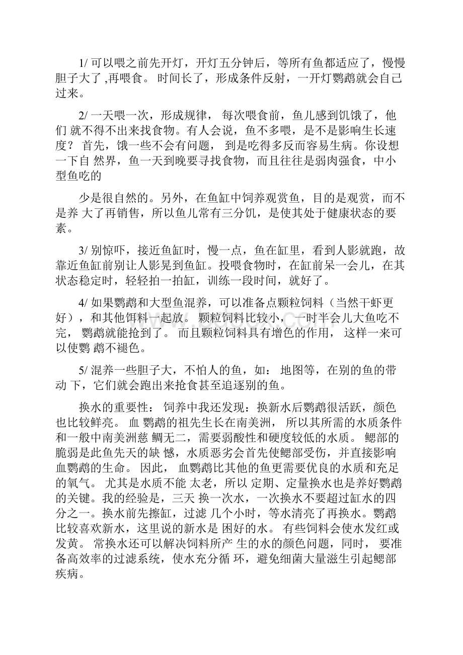 鹦鹉鱼饲养方法概要.docx_第3页