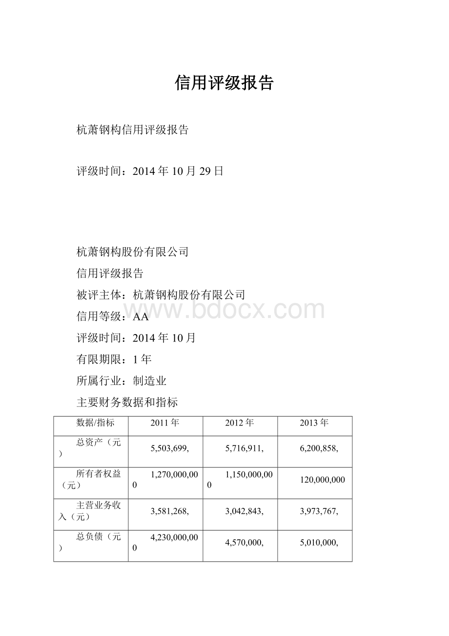 信用评级报告.docx