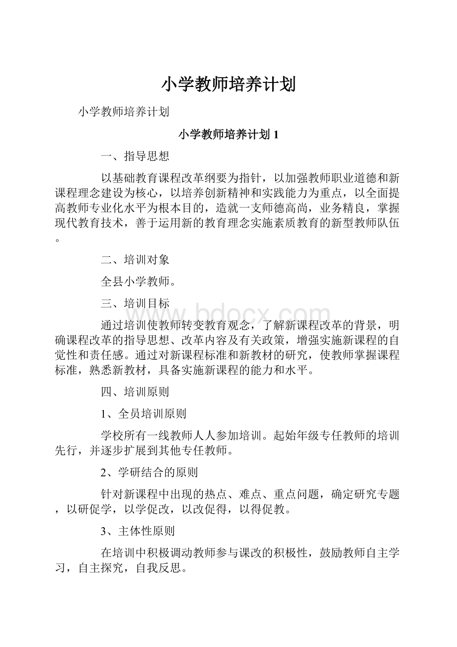 小学教师培养计划.docx_第1页