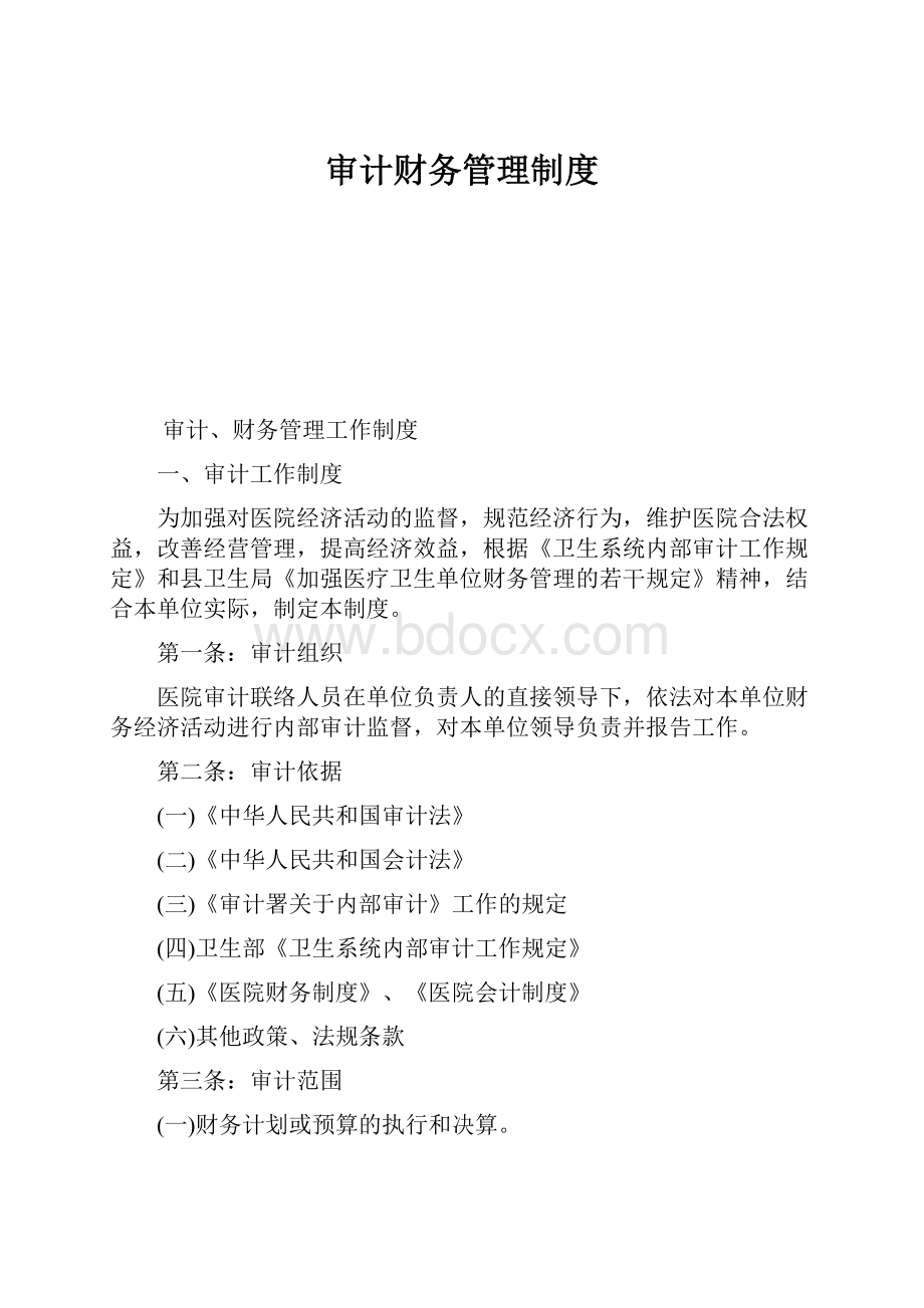 审计财务管理制度.docx_第1页