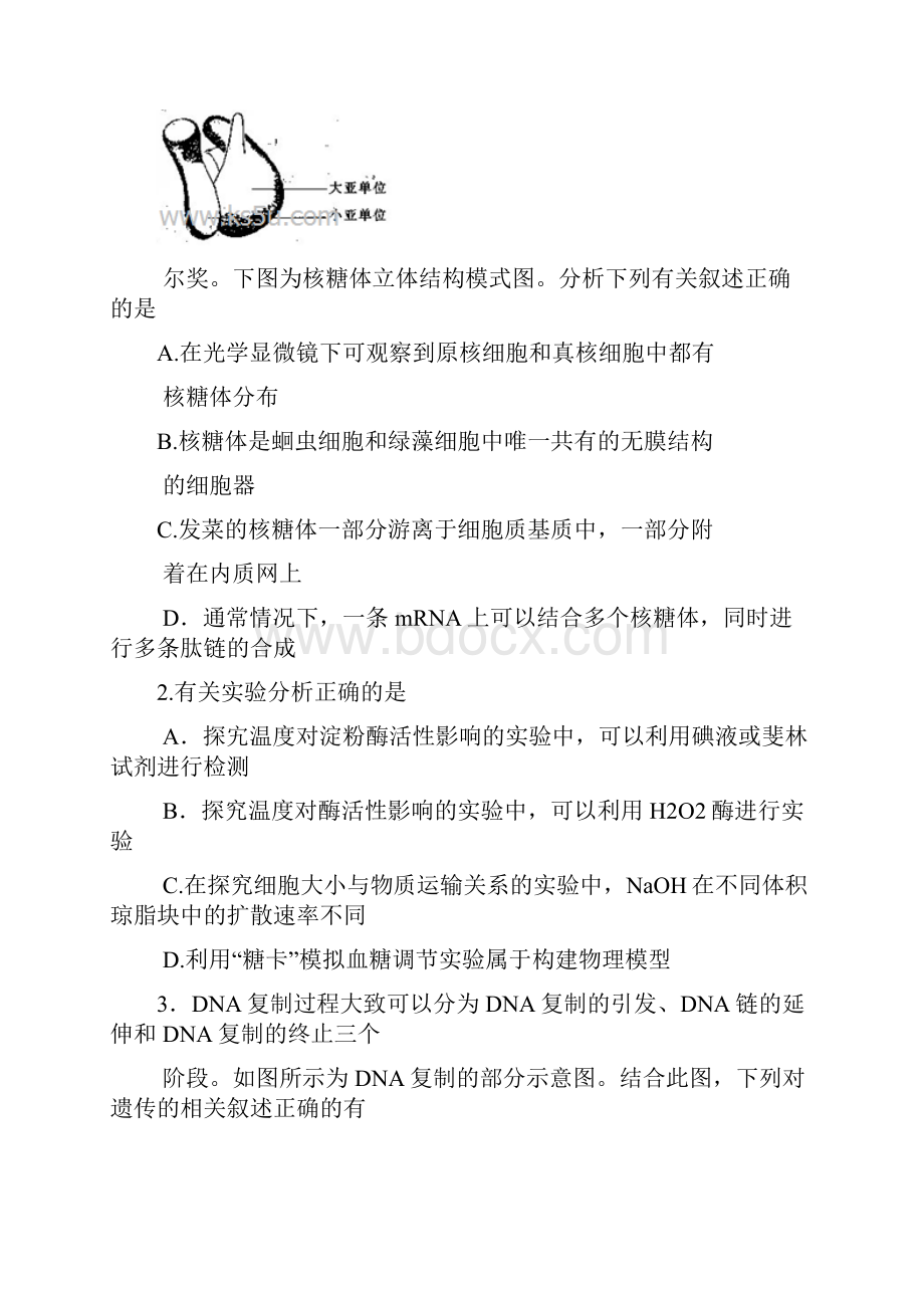 河南省中原名校高考理综生物部分仿真模拟统一考试.docx_第2页