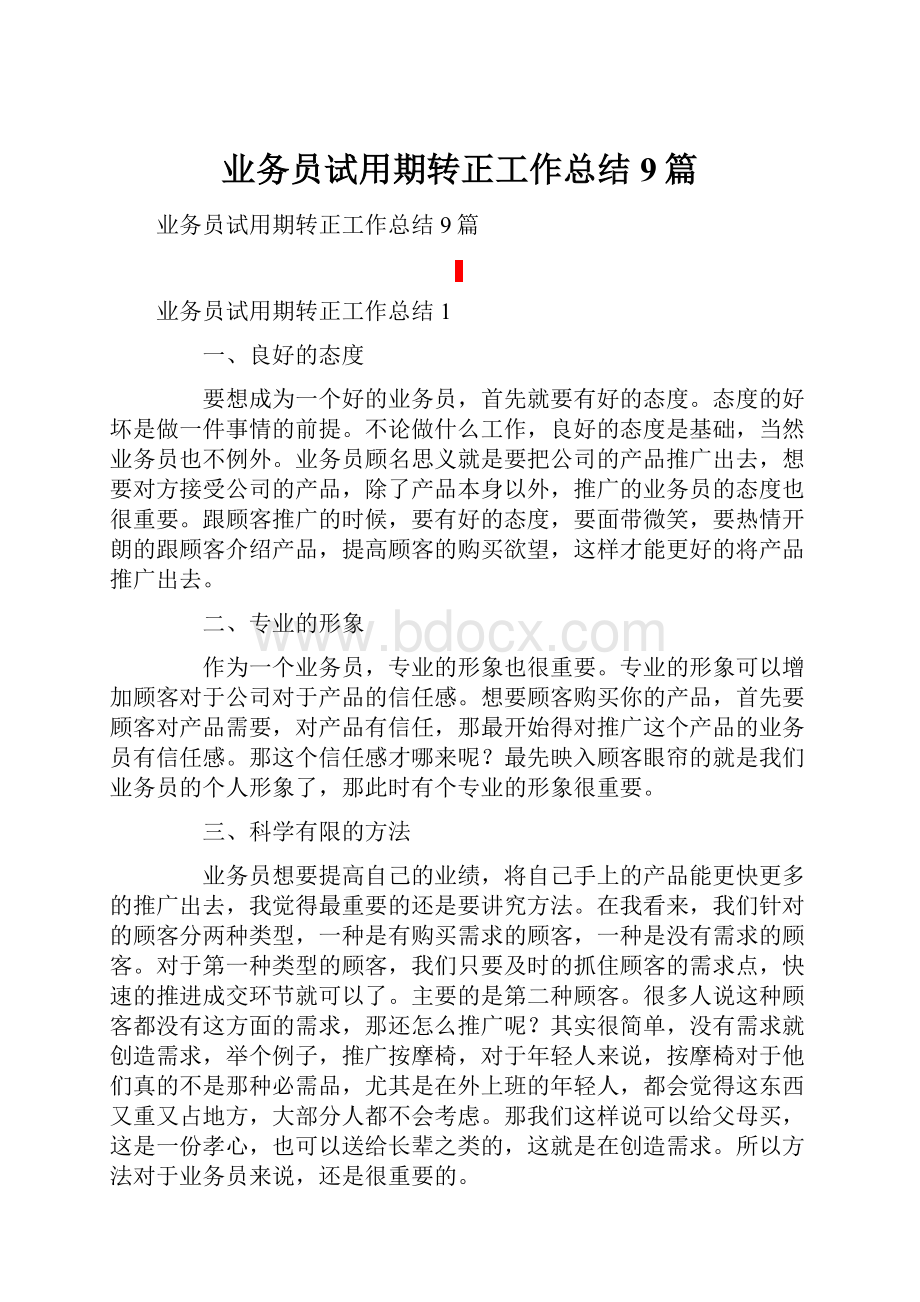 业务员试用期转正工作总结9篇.docx_第1页