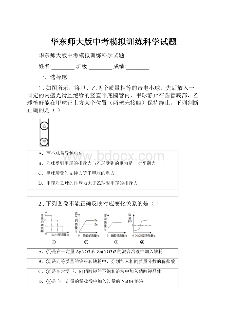 华东师大版中考模拟训练科学试题.docx_第1页