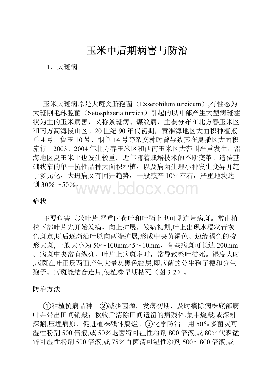 玉米中后期病害与防治.docx