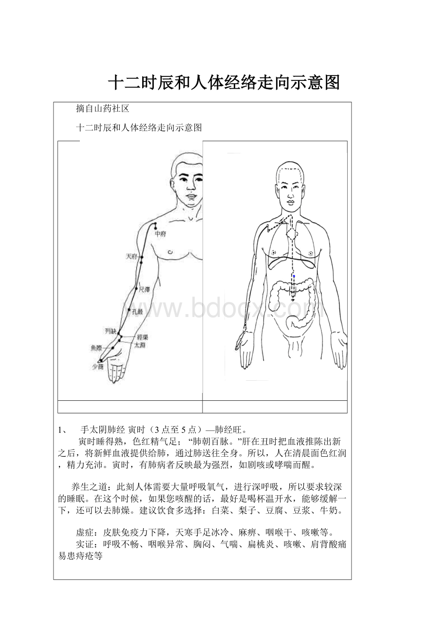 十二时辰和人体经络走向示意图.docx_第1页