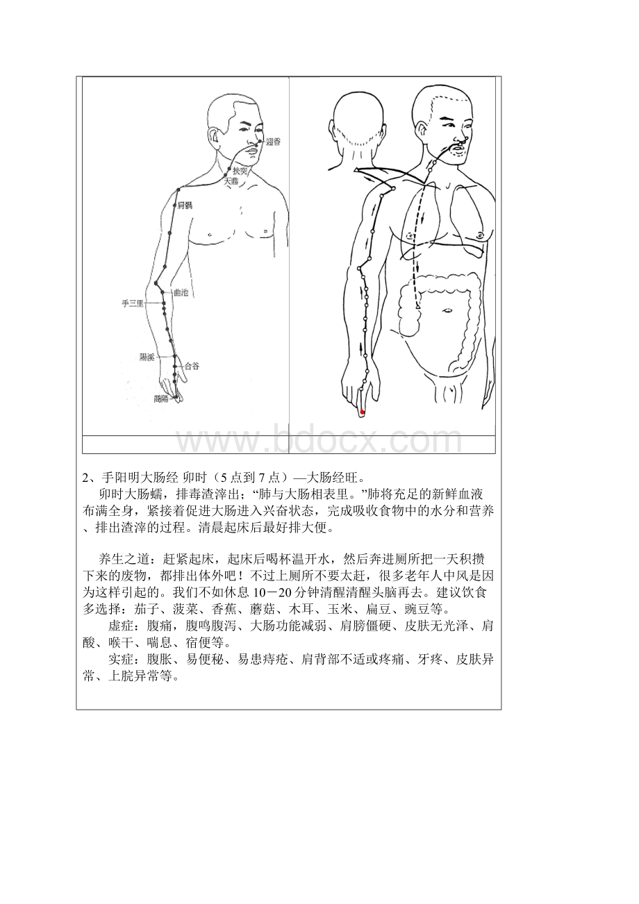 十二时辰和人体经络走向示意图.docx_第2页