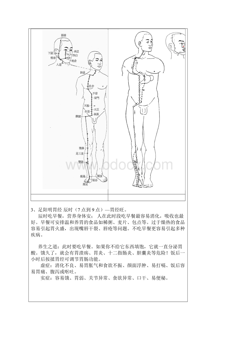 十二时辰和人体经络走向示意图.docx_第3页