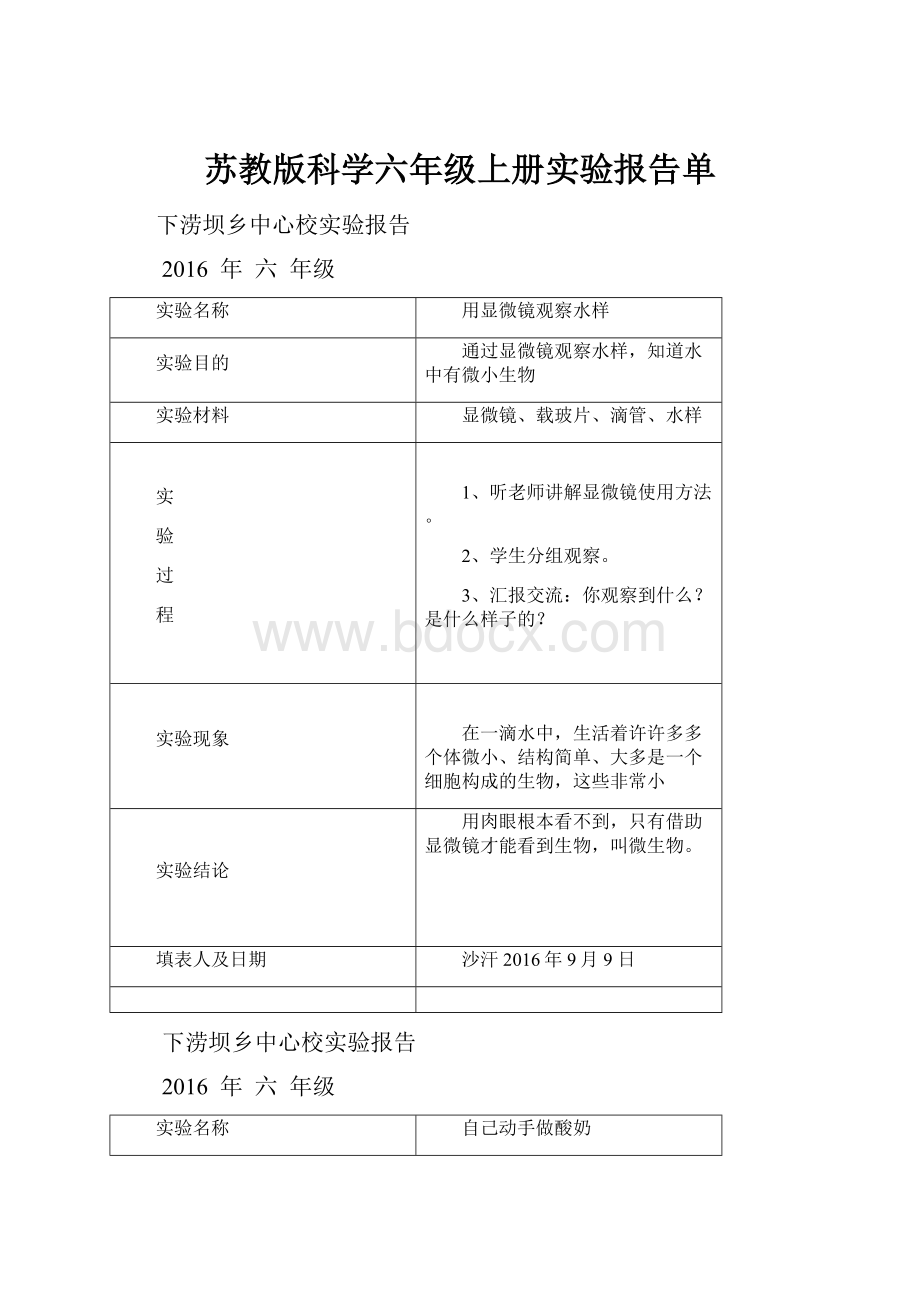 苏教版科学六年级上册实验报告单.docx