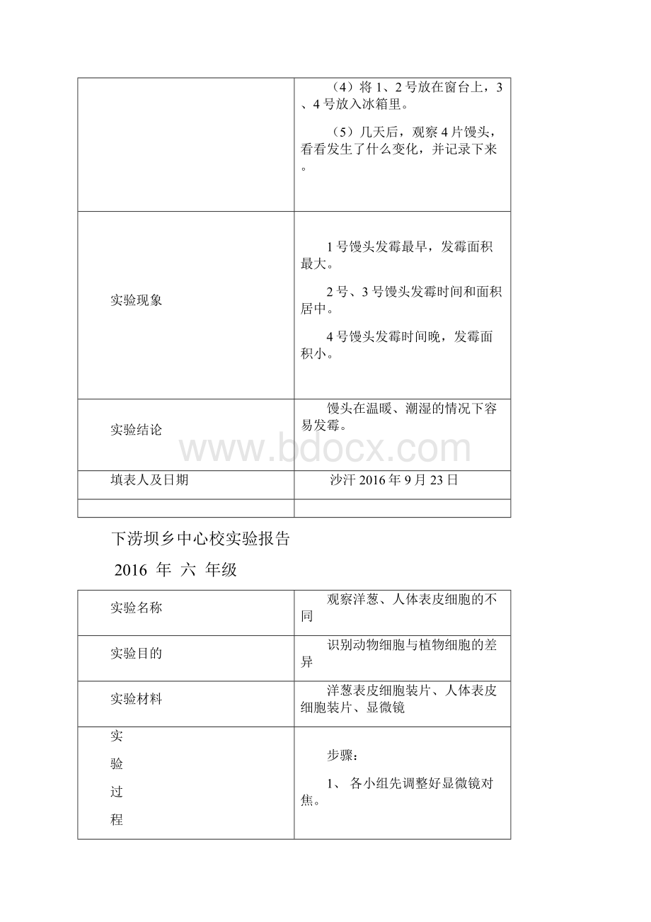 苏教版科学六年级上册实验报告单.docx_第3页