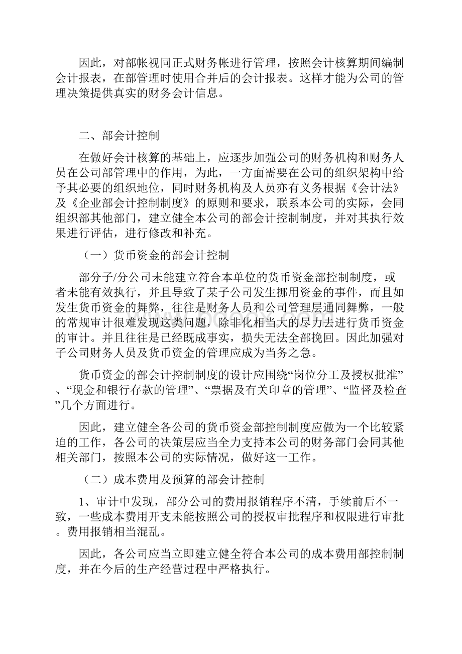 集团审计管理建议书.docx_第3页