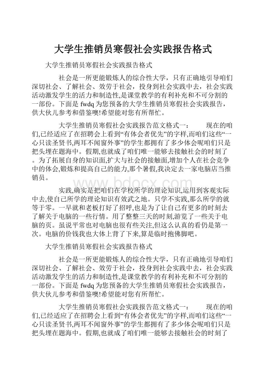 大学生推销员寒假社会实践报告格式.docx_第1页