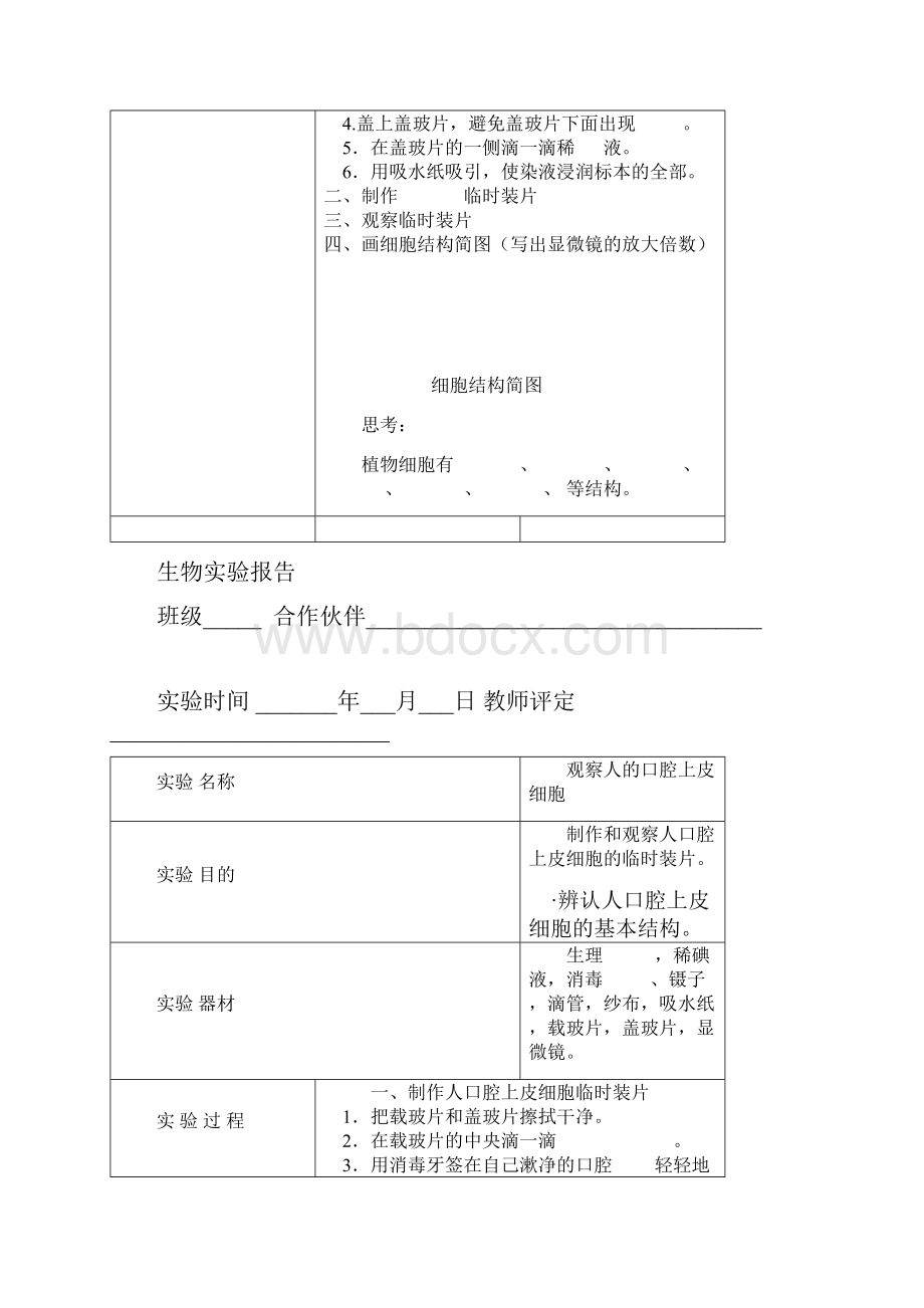 七年级生物实验报告.docx_第3页