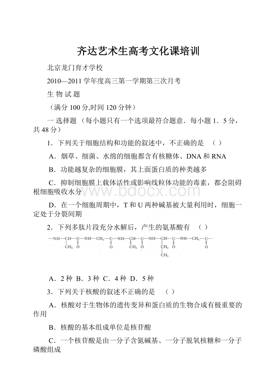 齐达艺术生高考文化课培训.docx