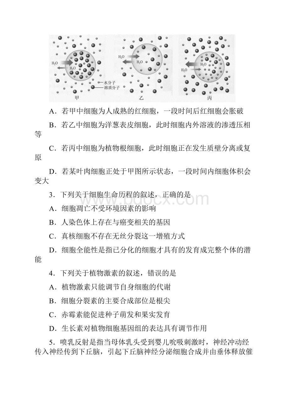 淄博理综三模试题.docx_第2页