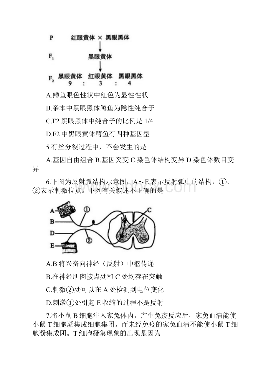 北京海淀区届高三上学期期末练习生物试题Word版含答案.docx_第2页