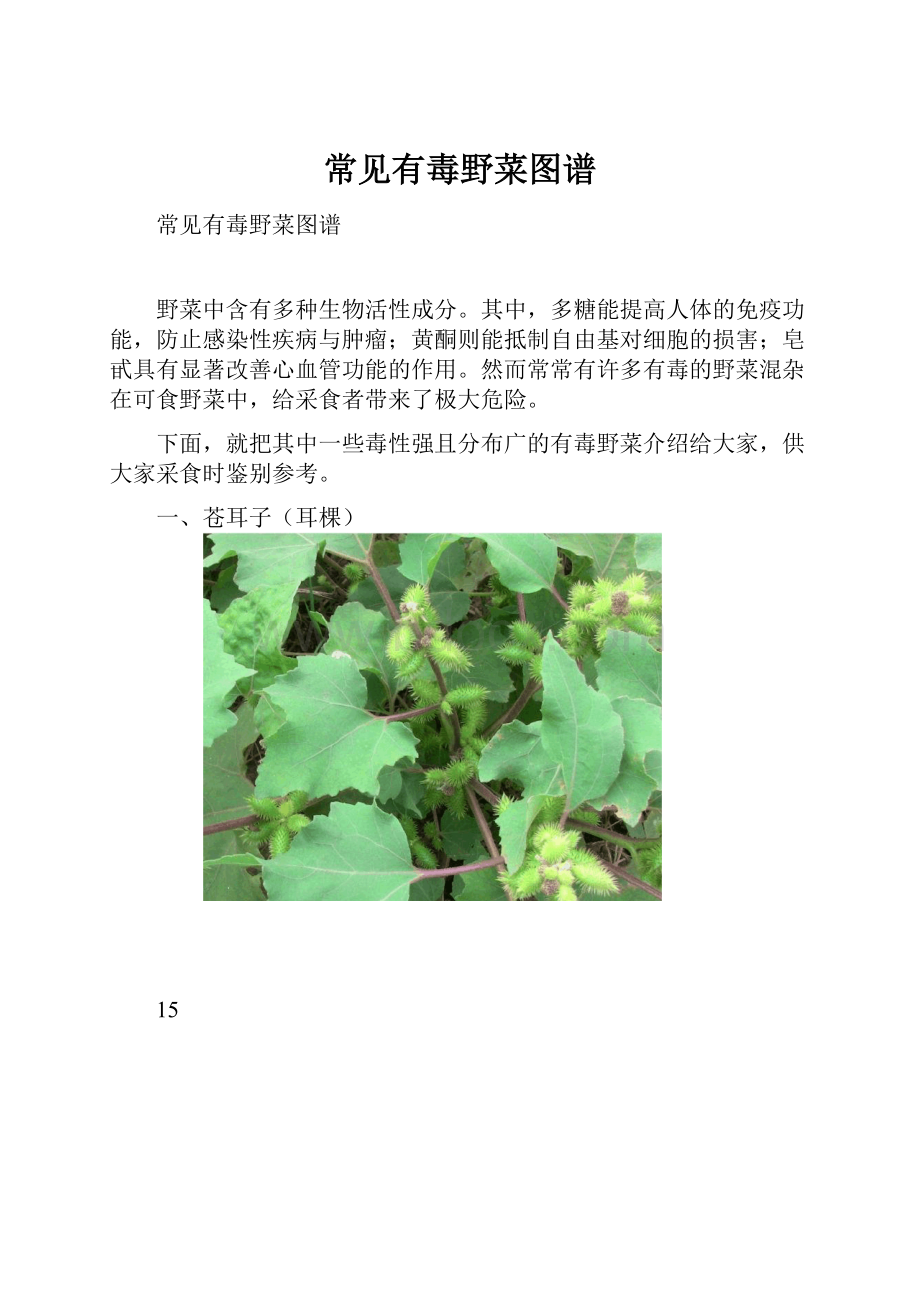 常见有毒野菜图谱.docx