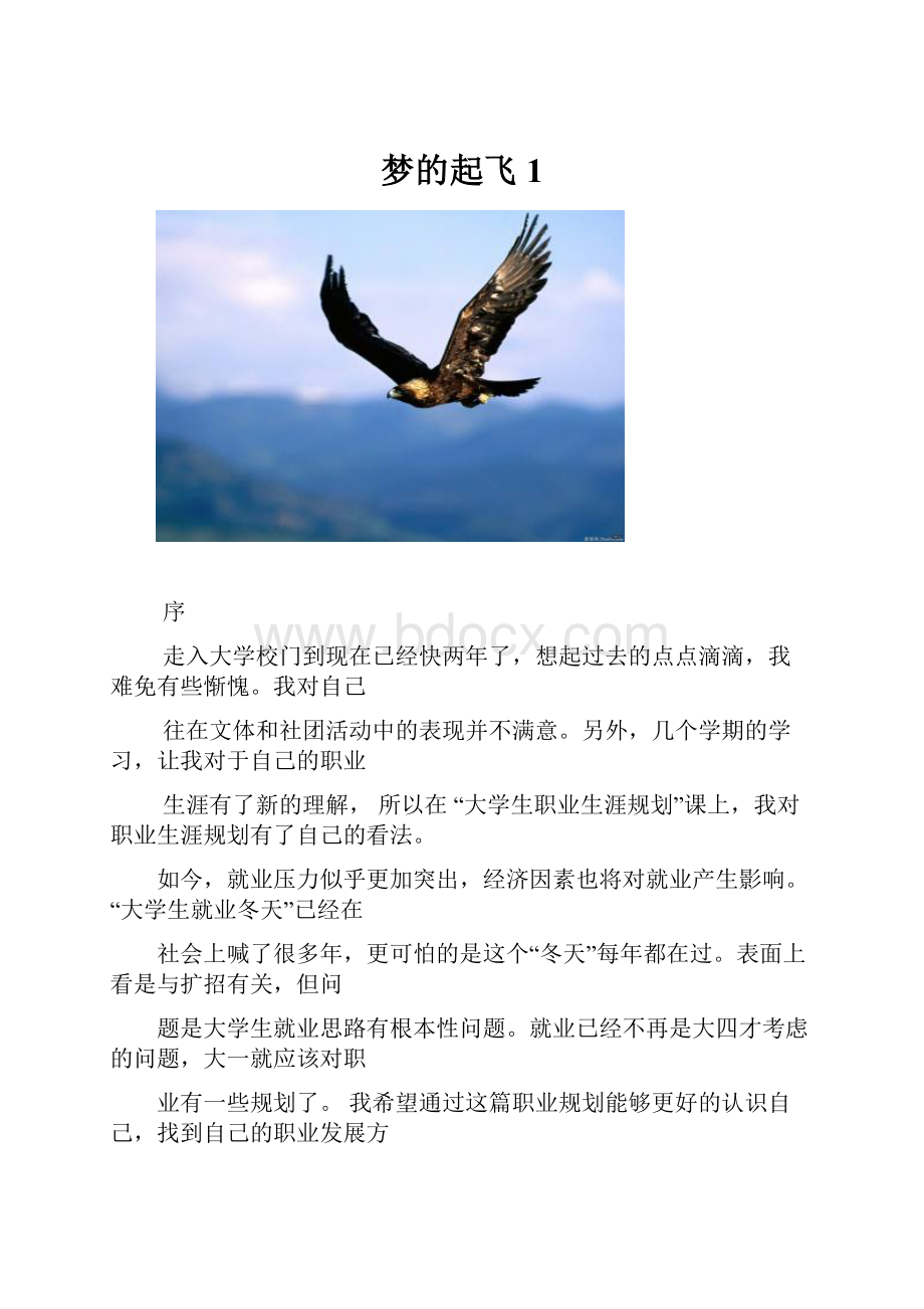 梦的起飞1.docx