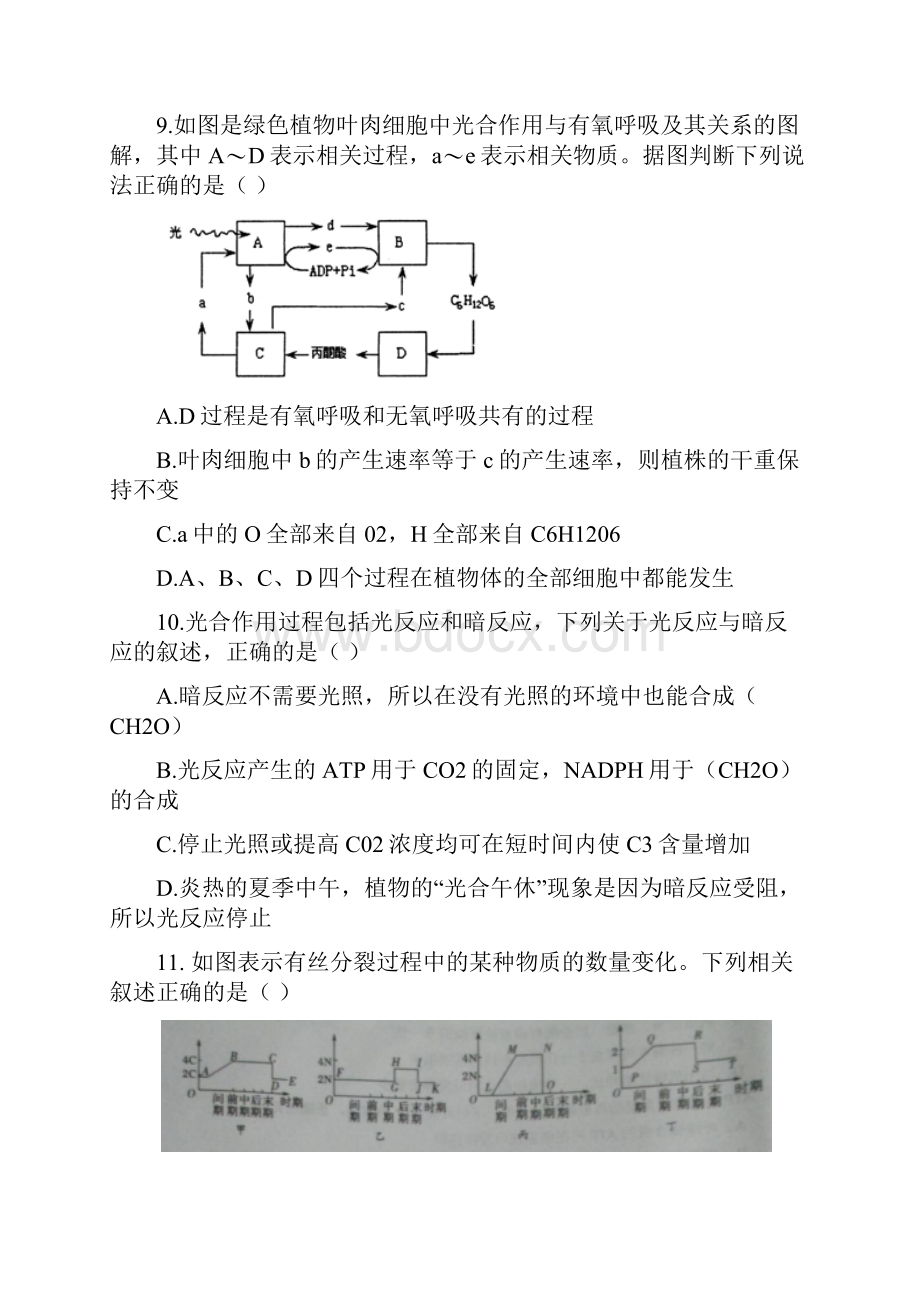 河南省中原名校高三生物上学期第一次质量考评试题.docx_第3页