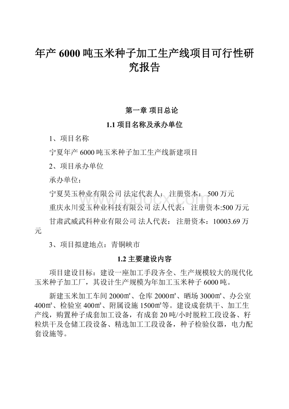 年产6000吨玉米种子加工生产线项目可行性研究报告.docx