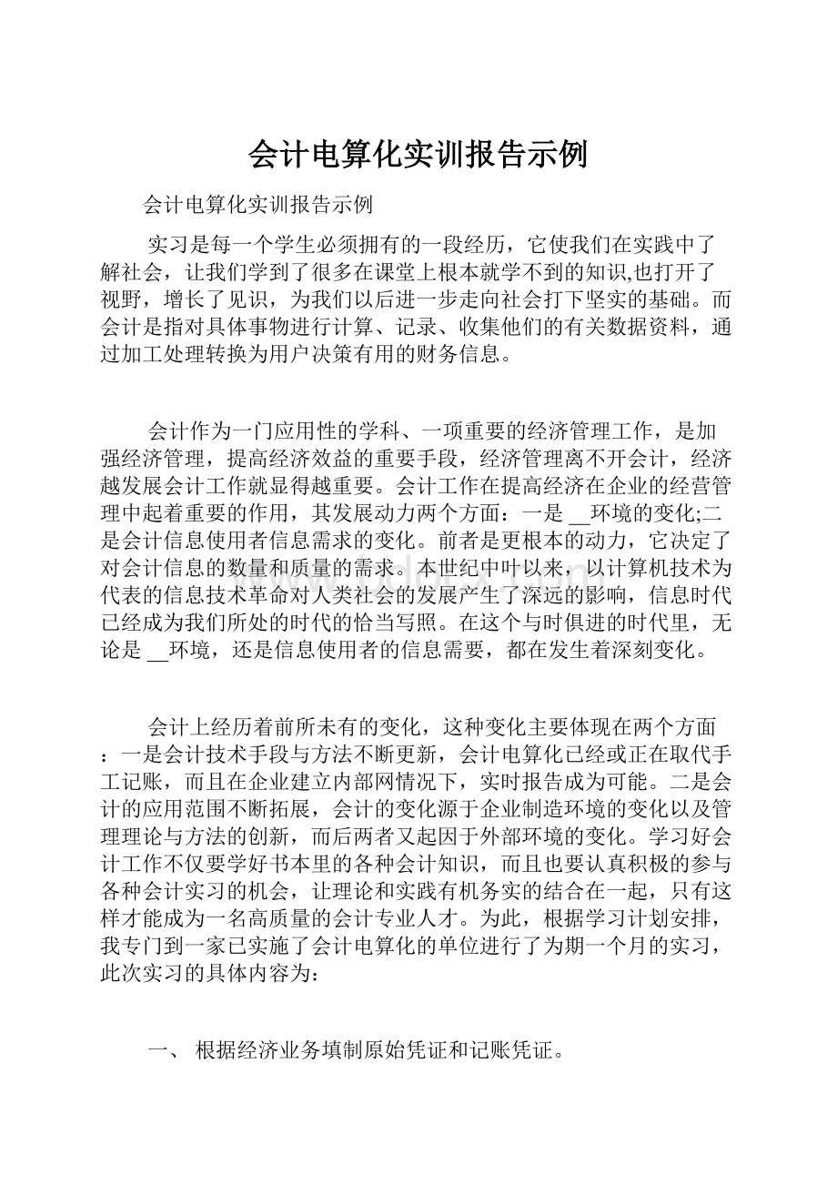 会计电算化实训报告示例.docx