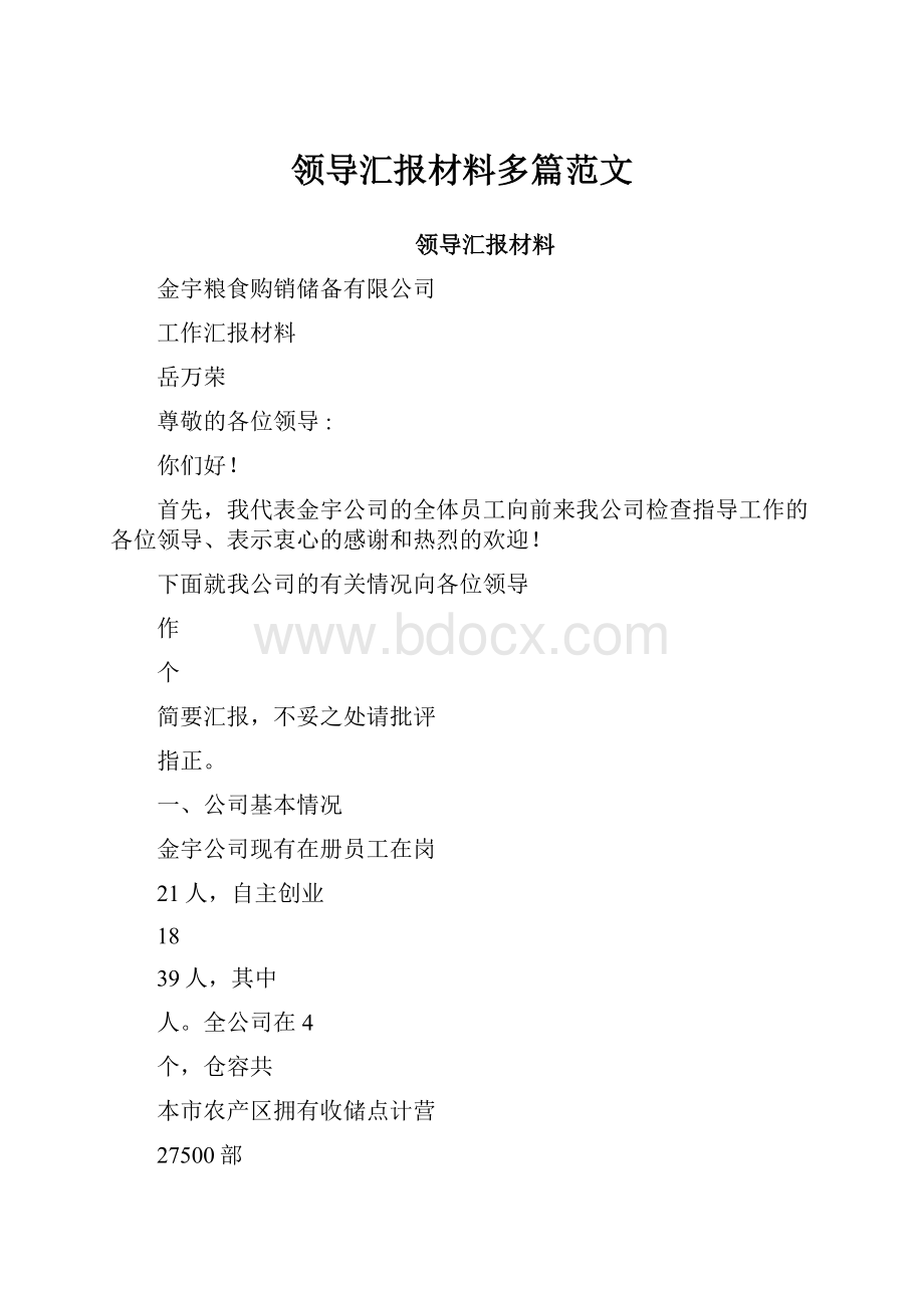 领导汇报材料多篇范文.docx