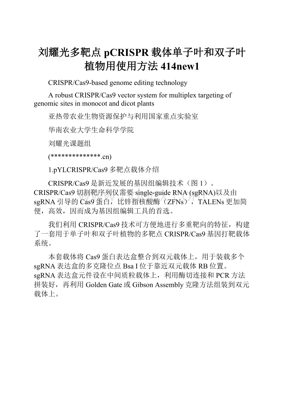 刘耀光多靶点pCRISPR载体单子叶和双子叶植物用使用方法414new1.docx