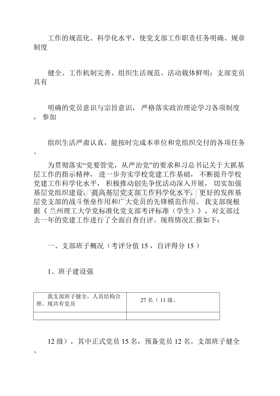 党支部自评报告总结计划doc.docx_第2页