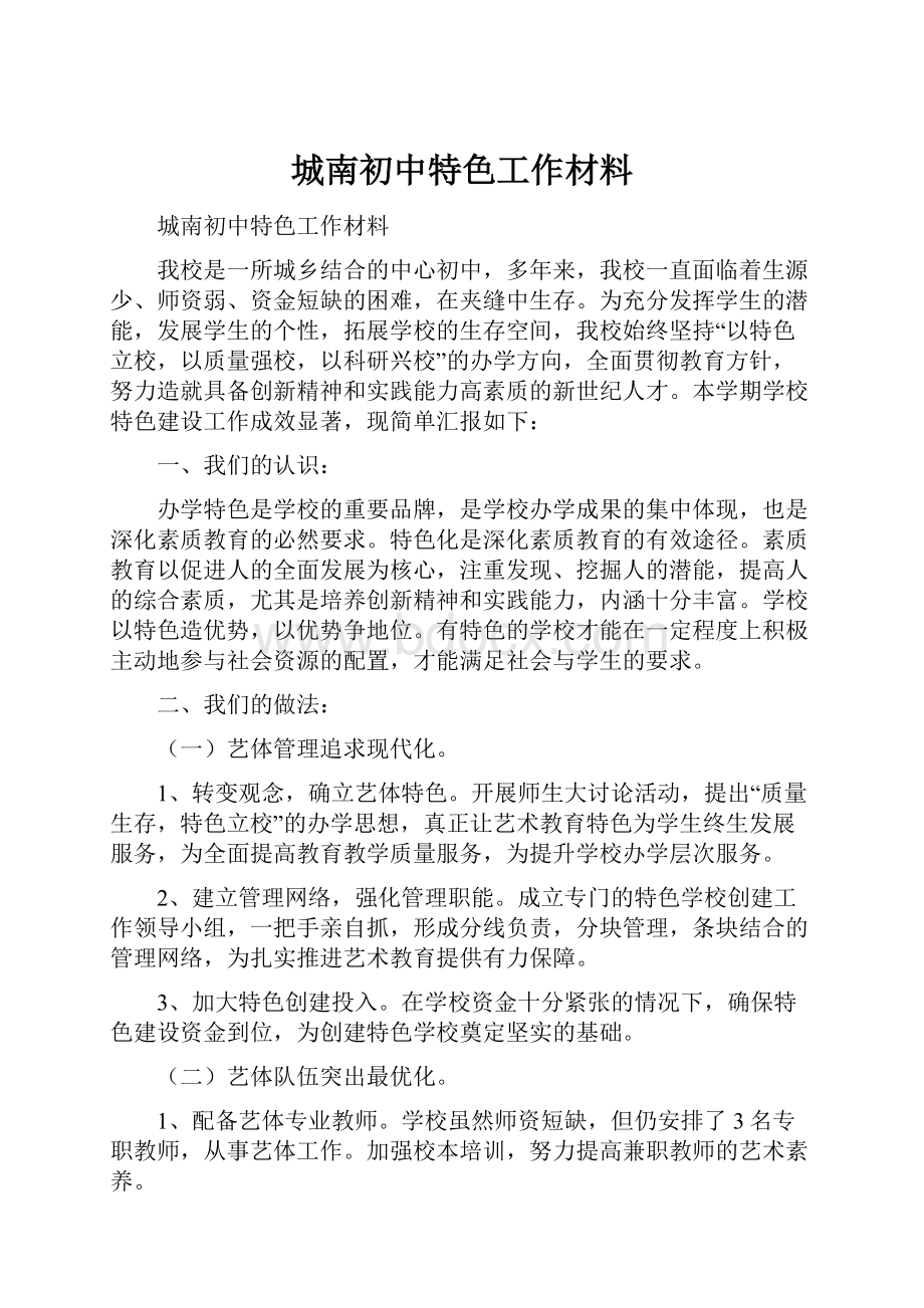 城南初中特色工作材料.docx_第1页