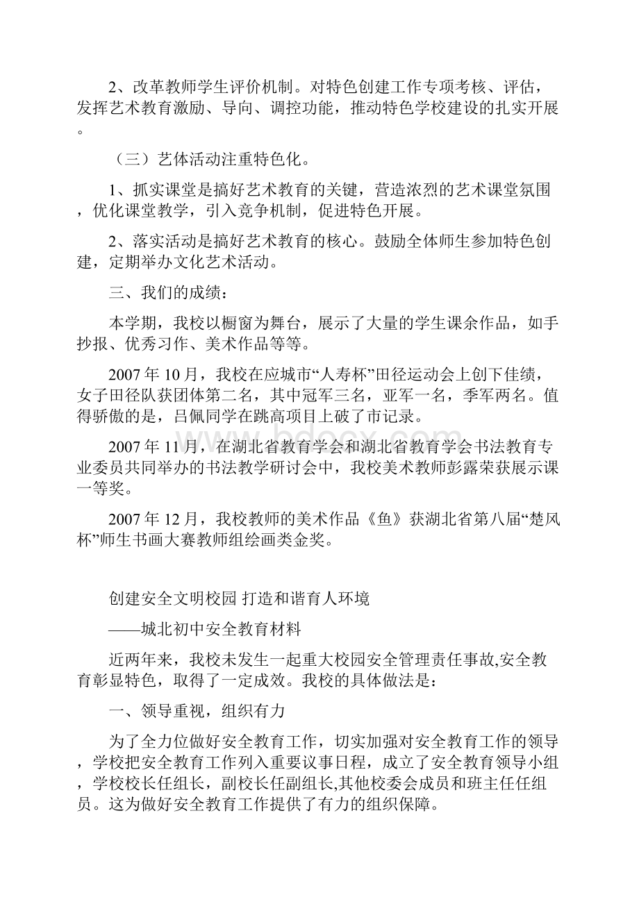 城南初中特色工作材料.docx_第2页