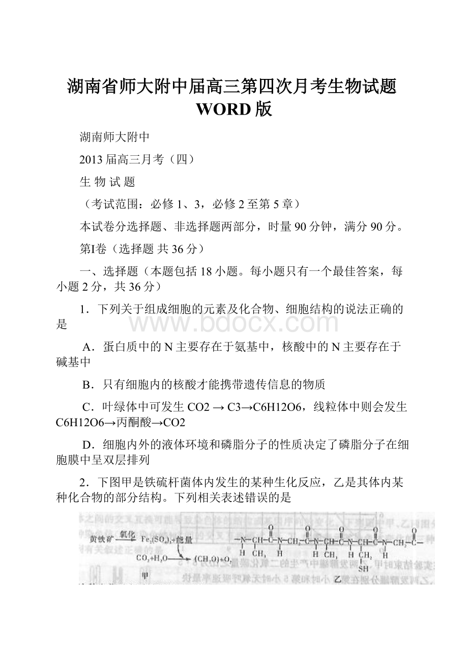 湖南省师大附中届高三第四次月考生物试题WORD版.docx