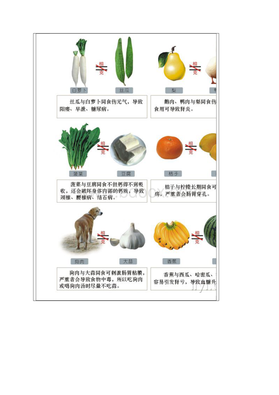 食物相生相克图表.docx_第3页