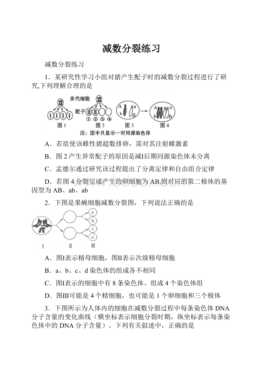 减数分裂练习.docx