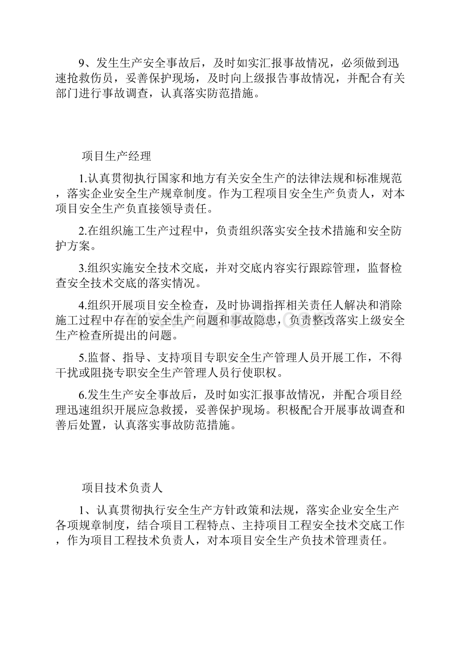 最新修订项目各岗位安全生产责任制.docx_第2页