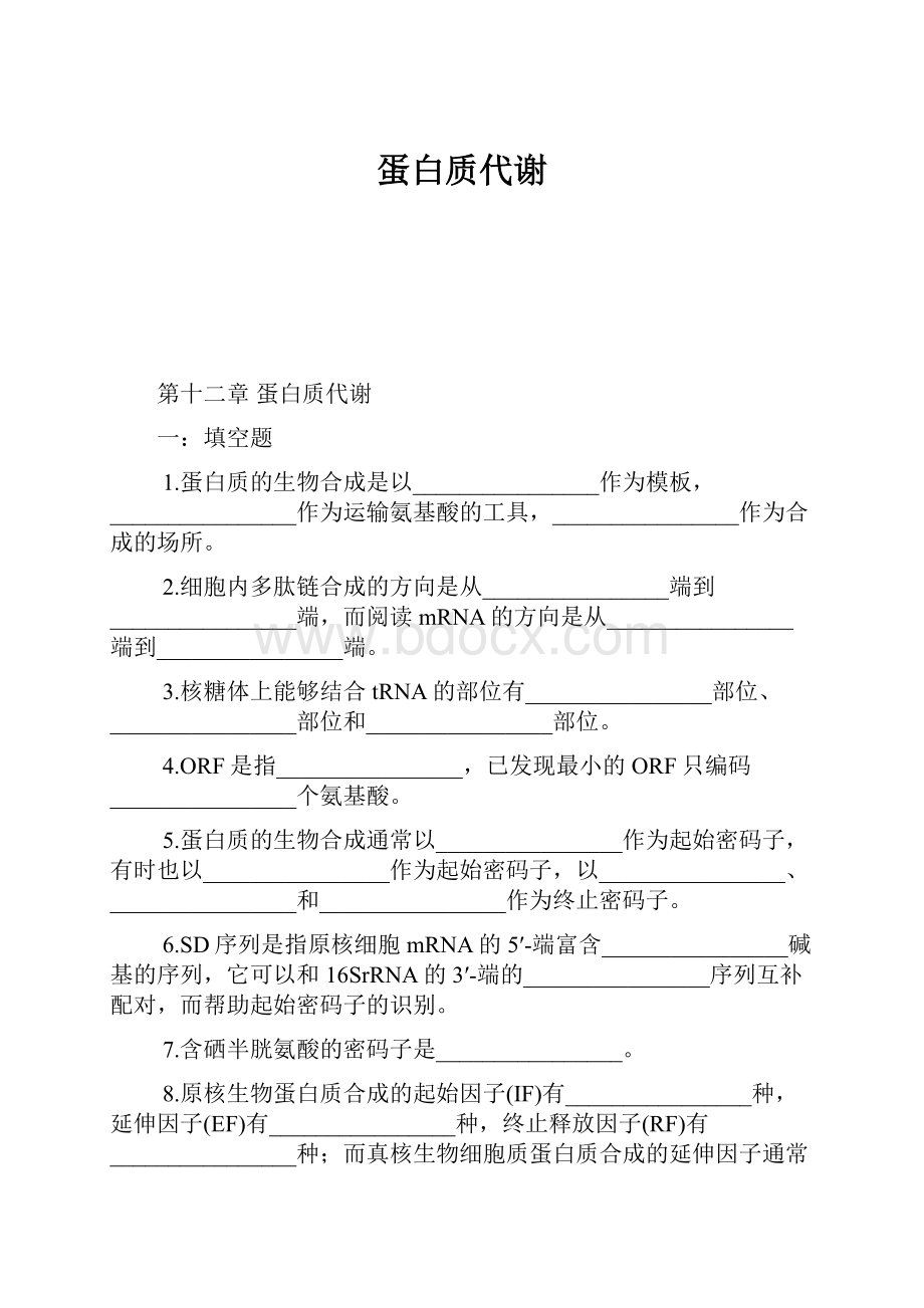 蛋白质代谢.docx_第1页