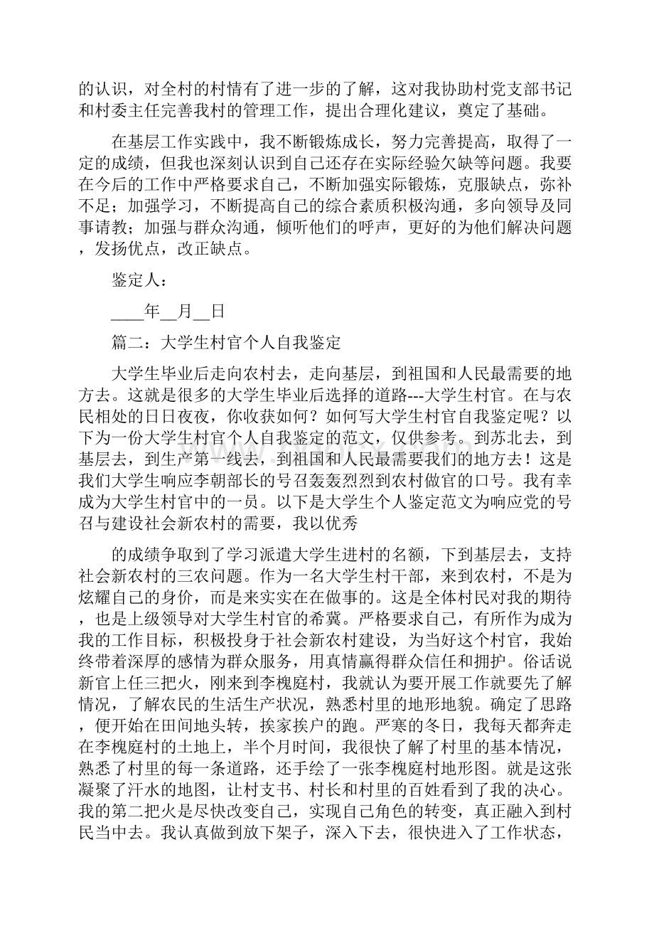 大学生村官自我评价咋写.docx_第3页