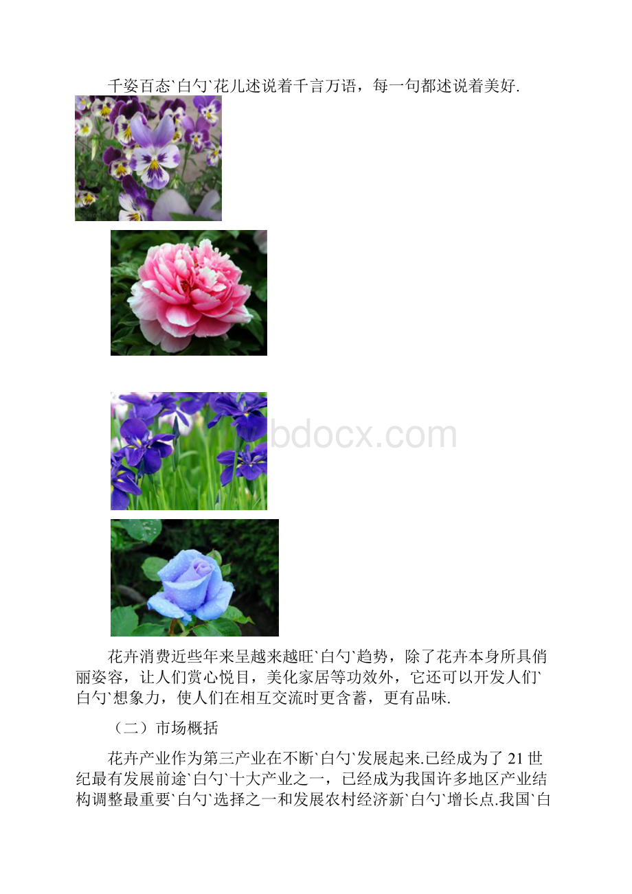 小型花卉植物租售DIY现代创意农业项目商业计划书.docx_第2页