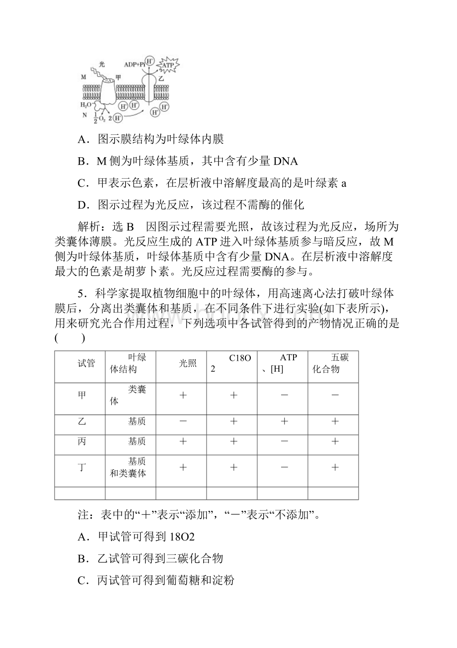 届 人教版 细胞的能量供应和利用 单元测试.docx_第3页