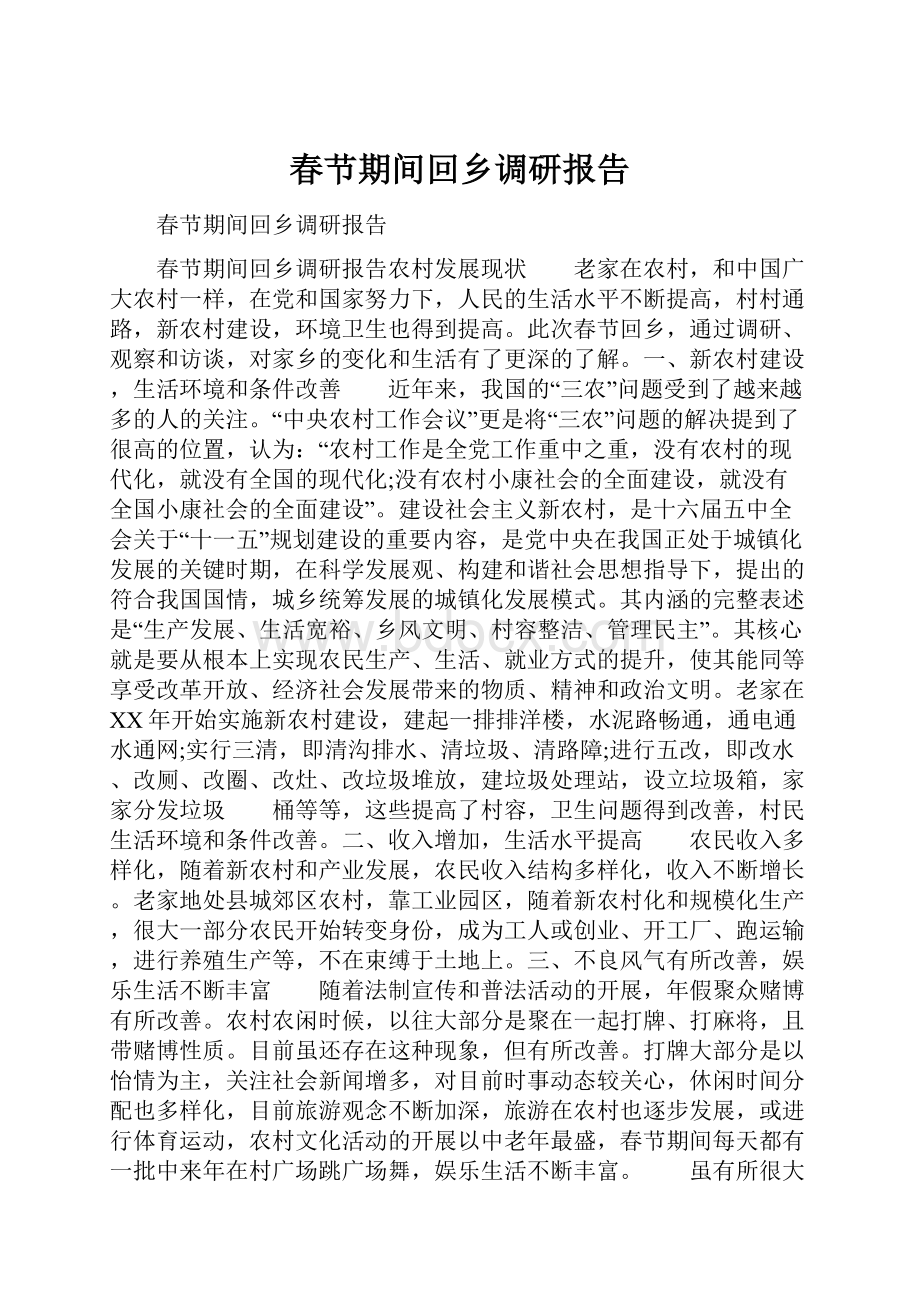 春节期间回乡调研报告.docx