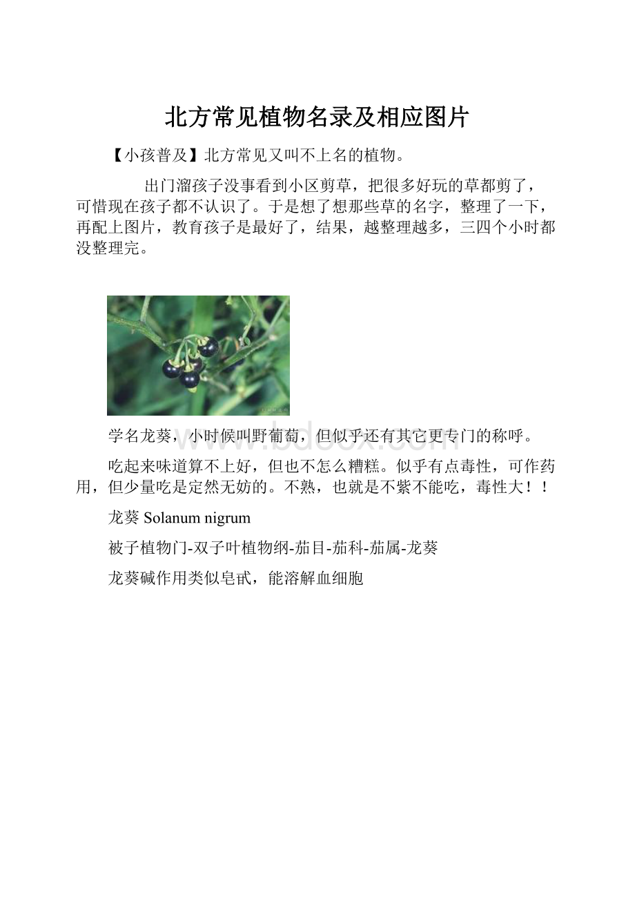 北方常见植物名录及相应图片.docx